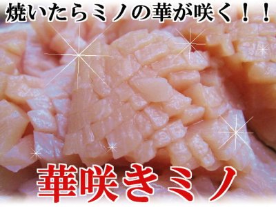 画像1: 【肉の匠 テラオカ】華咲きミノ　１００ｇ（約１、５人前）